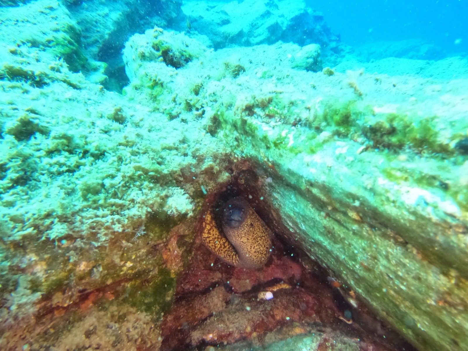 Discover Scuba Diving, photo 3