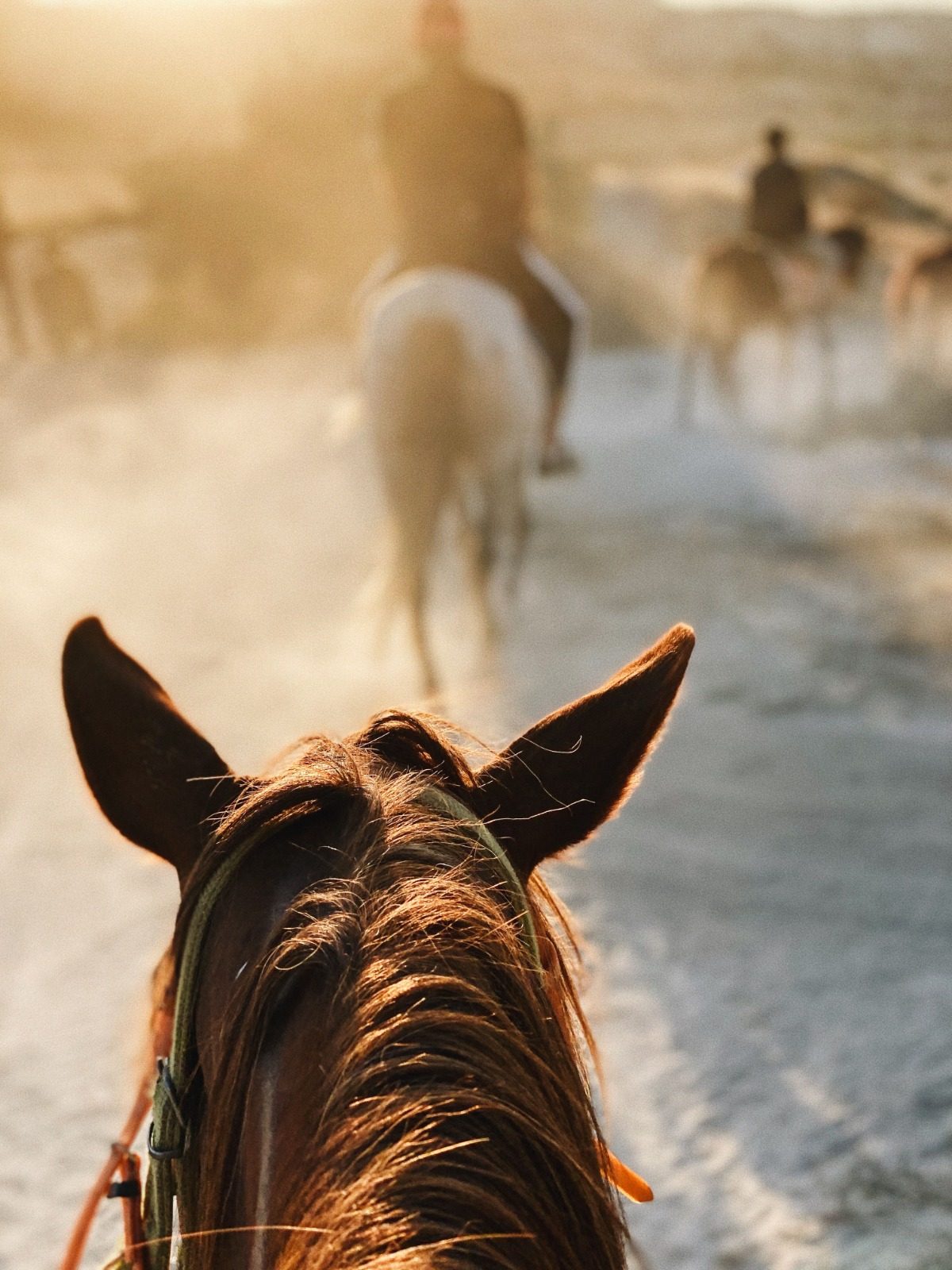 Horse Riding Sunset Tour