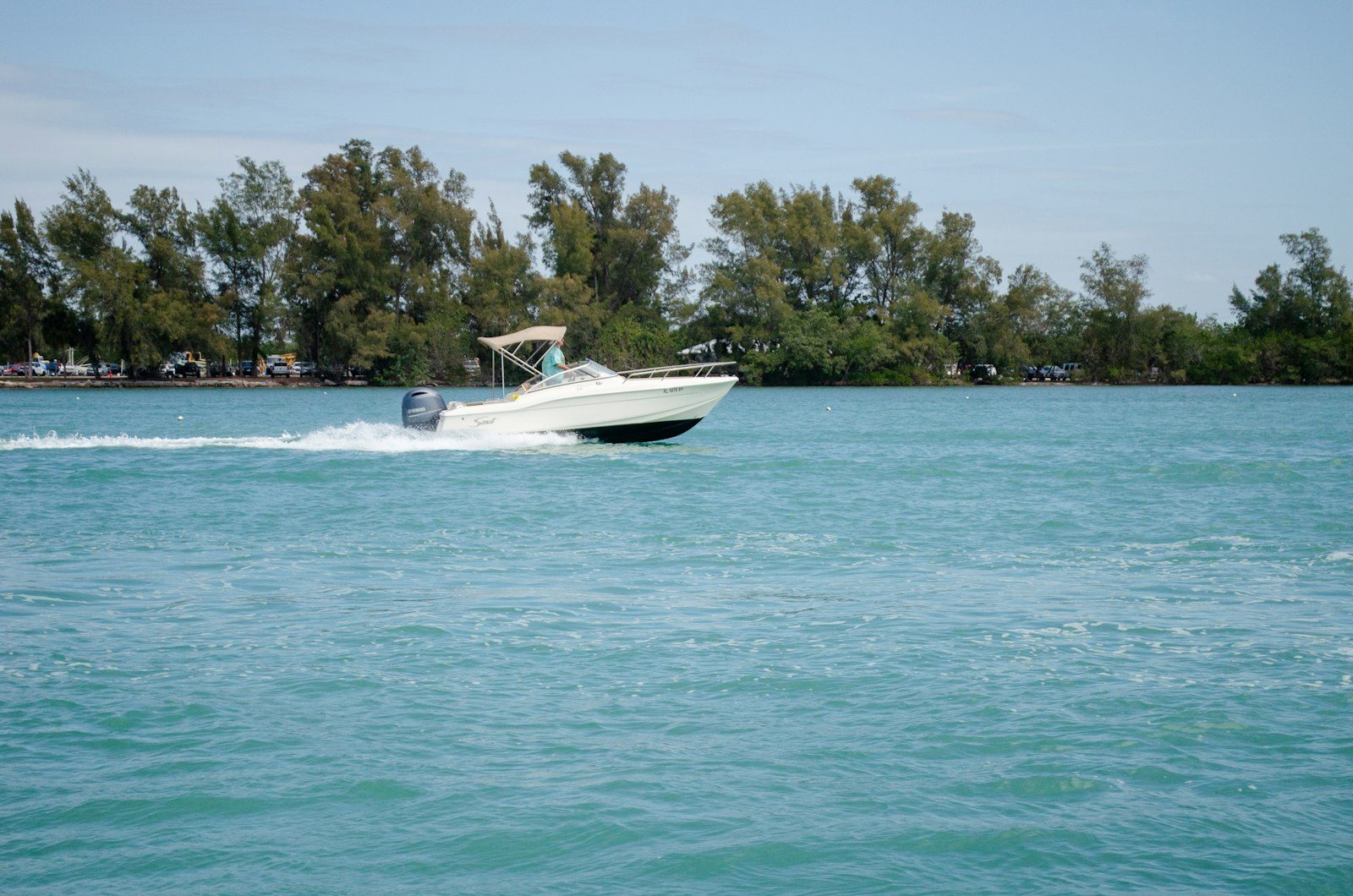 Safari Boat Trip