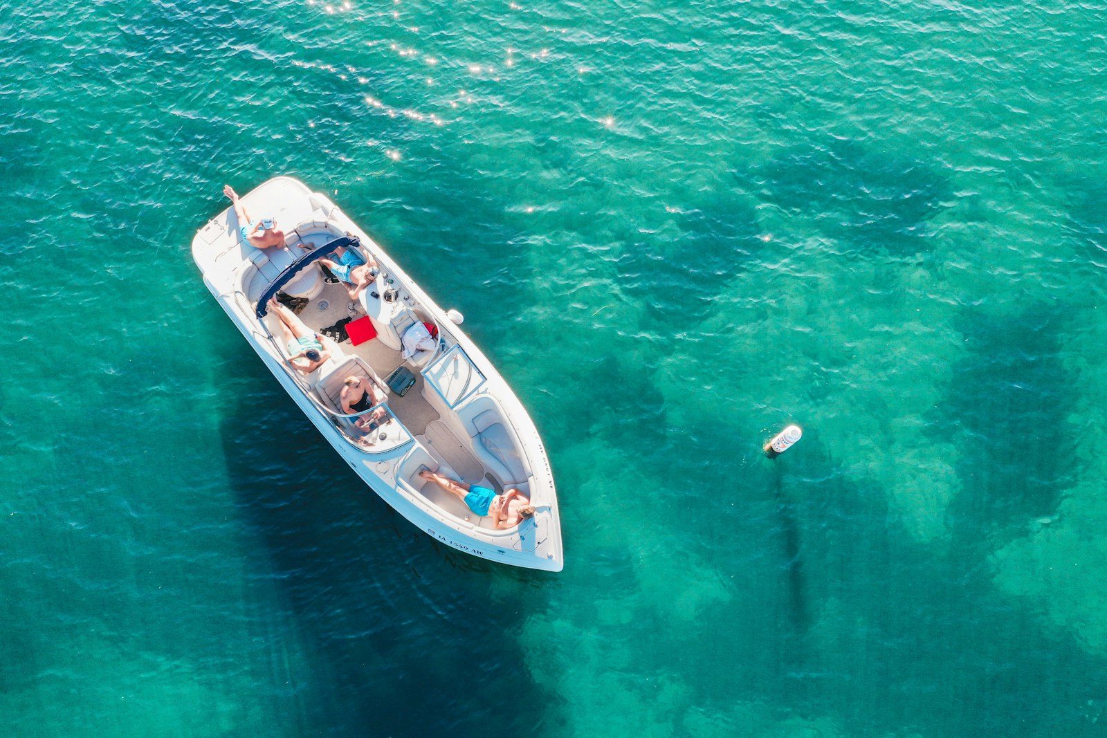 Safari en bateau